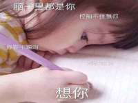 郑州晟禾生物科技有限公司