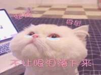 郑州晟禾生物科技有限公司