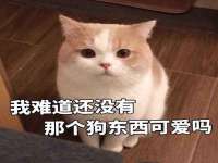 郑州晟禾生物科技有限公司