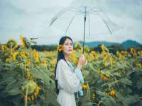 郑州晟禾生物科技有限公司