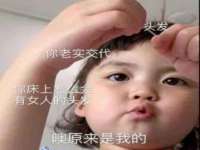 郑州晟禾生物科技有限公司