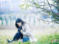 郑州晟禾生物科技有限公司
