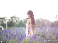 郑州晟禾生物科技有限公司