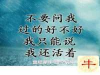 郑州晟禾生物科技有限公司