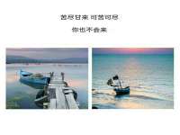 郑州晟禾生物科技有限公司