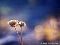 郑州晟禾生物科技有限公司
