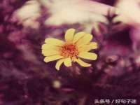 郑州晟禾生物科技有限公司