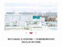 郑州晟禾生物科技有限公司