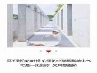 郑州晟禾生物科技有限公司
