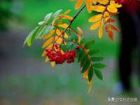 郑州晟禾生物科技有限公司