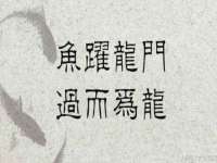 郑州晟禾生物科技有限公司