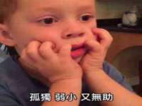郑州晟禾生物科技有限公司
