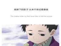 郑州晟禾生物科技有限公司