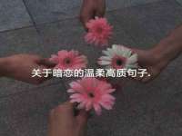 郑州晟禾生物科技有限公司