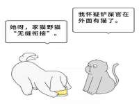 郑州晟禾生物科技有限公司