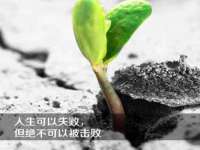 郑州晟禾生物科技有限公司