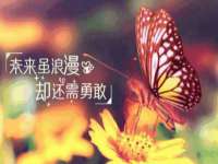 郑州晟禾生物科技有限公司