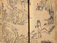 郑州晟禾生物科技有限公司
