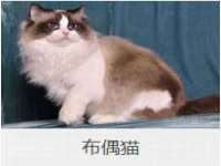 郑州晟禾生物科技有限公司