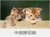 郑州晟禾生物科技有限公司
