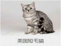 郑州晟禾生物科技有限公司