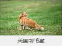 郑州晟禾生物科技有限公司