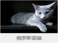 郑州晟禾生物科技有限公司