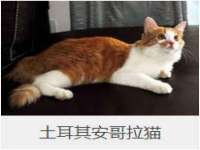 郑州晟禾生物科技有限公司