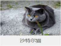郑州晟禾生物科技有限公司
