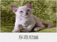 郑州晟禾生物科技有限公司