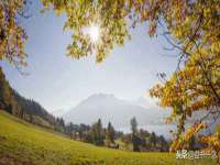 郑州晟禾生物科技有限公司