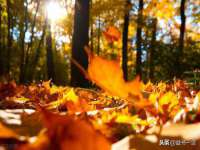 郑州晟禾生物科技有限公司