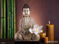 郑州晟禾生物科技有限公司