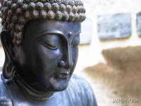 郑州晟禾生物科技有限公司