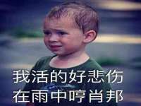 郑州晟禾生物科技有限公司