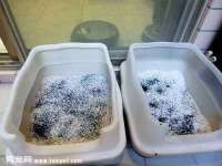 郑州晟禾生物科技有限公司