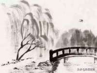 郑州晟禾生物科技有限公司
