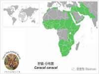 郑州晟禾生物科技有限公司