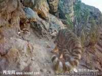郑州晟禾生物科技有限公司