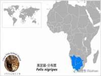 郑州晟禾生物科技有限公司