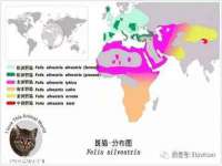 郑州晟禾生物科技有限公司