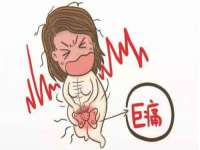 郑州晟禾生物科技有限公司
