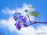 郑州晟禾生物科技有限公司