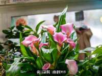 郑州晟禾生物科技有限公司