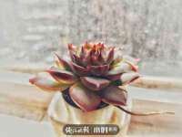 郑州晟禾生物科技有限公司