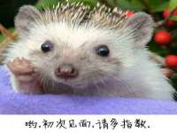 郑州晟禾生物科技有限公司