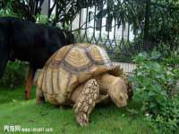 郑州晟禾生物科技有限公司