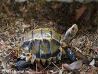 郑州晟禾生物科技有限公司