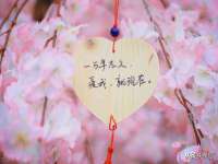 郑州晟禾生物科技有限公司