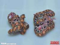 郑州晟禾生物科技有限公司
